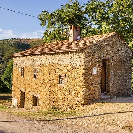 Casa Da Corrica - Alojamento Local Negreda Exteriér fotografie