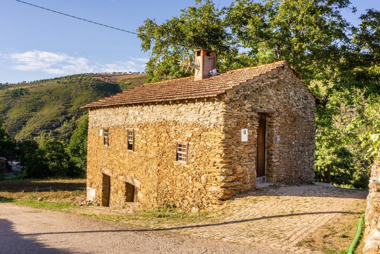 Casa Da Corrica - Alojamento Local Negreda Exteriér fotografie